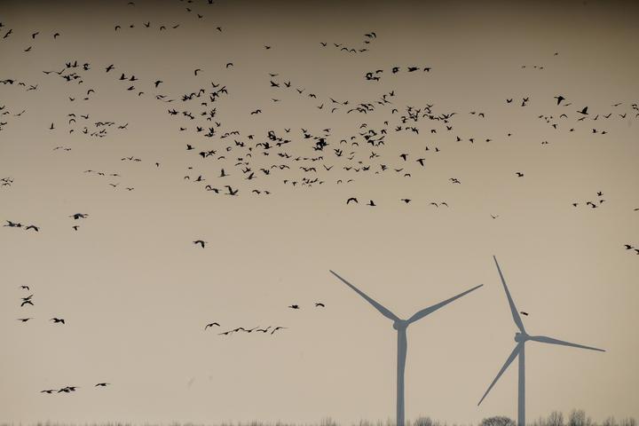 随着海上风电装机量的快速增长