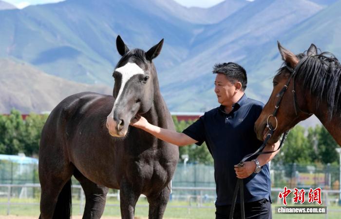 西藏马术队四十载传承 传统体育焕发新活力
