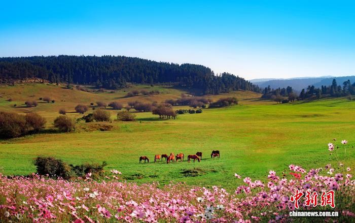 重庆武隆将举办2025第20届国际山地户外运动大赛